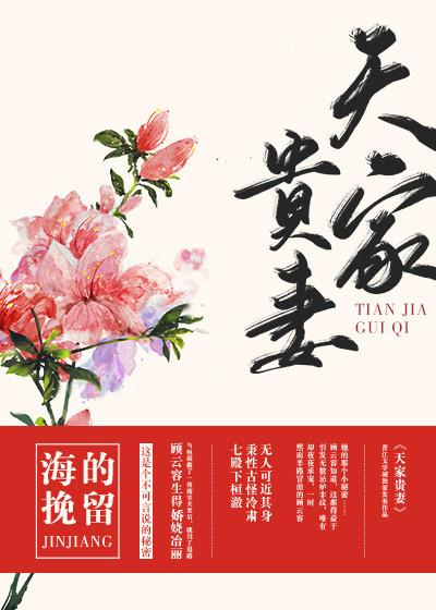 天家贵妻作者海的挽留txt