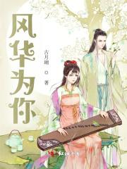 有一首歌叫风华什么