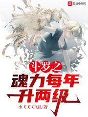 斗罗之魂力每年升两级4g