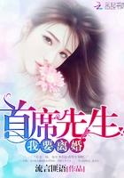 首席总裁离婚吧