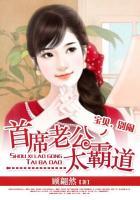 全球盛宠小萌妻讲了什么