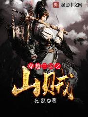 三国之大山贼